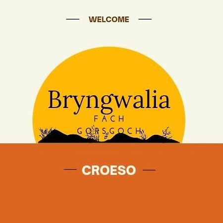 Bryngwalia Fach Apartment Cribyn Luaran gambar